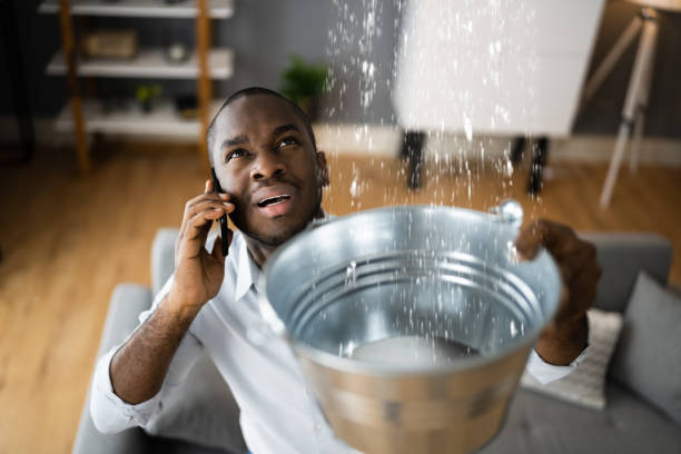 Best Water damage restoration near me  in Mountain Home, AR