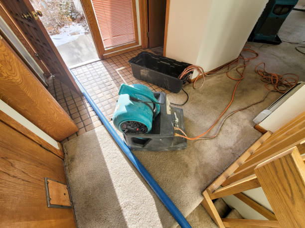  Mountain Home, AR Water damage restoration Pros