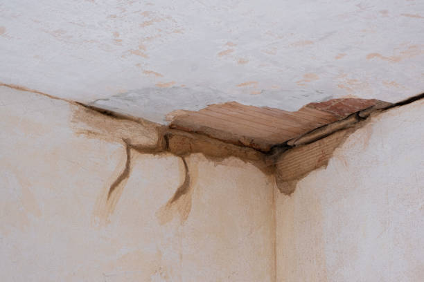 Best Ceiling water damage repair  in Mountain Home, AR