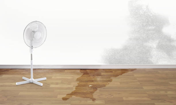 Best Water damage repair service  in Mountain Home, AR
