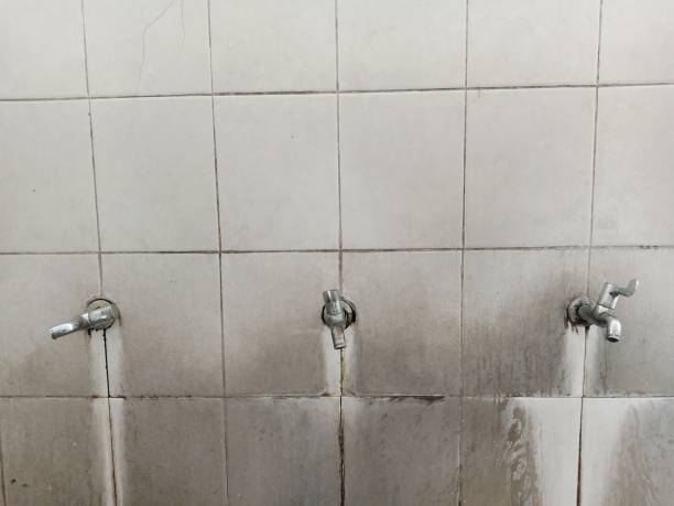Best Flooded house restoration  in Mountain Home, AR