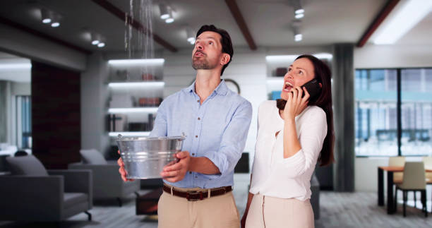 Best Flood restoration services  in Mountain Home, AR