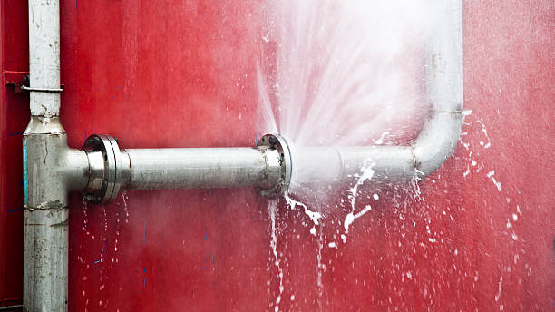 Best Commercial water damage restoration  in Mountain Home, AR