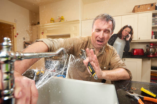 Best Professional water damage repair  in Mountain Home, AR